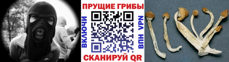 Купить закладки  Похвистнево  Галлюциногенные грибы мухоморы 